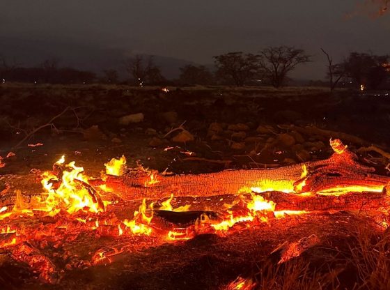 A wildfire burns in Kihei, Hawaii